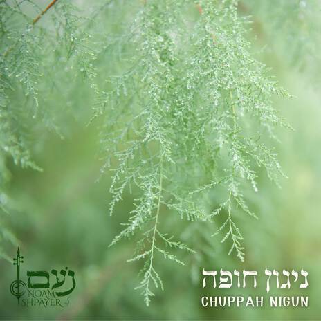 ניגון חופה cover art