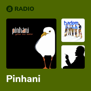 Pinhani Radio