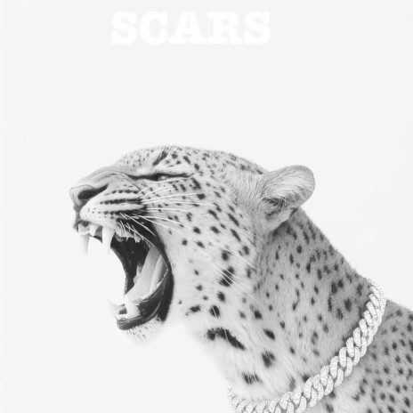 SCARS (MANY MEN)