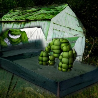 Shed Theory