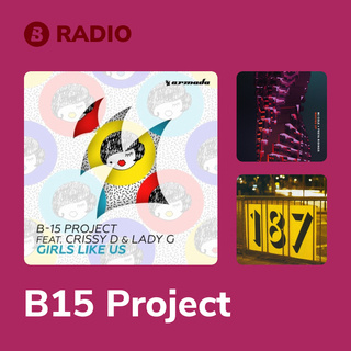 B15 Project Radio