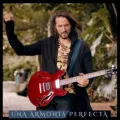 Una Armonía Perfecta