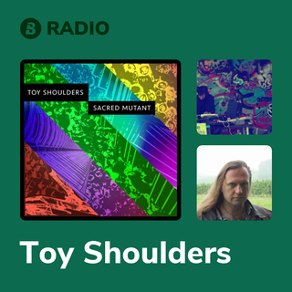 Toy Shoulders Radio