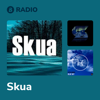 Skua Radio