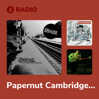 Papernut Cambridge Radio