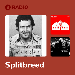 Splitbreed Radio
