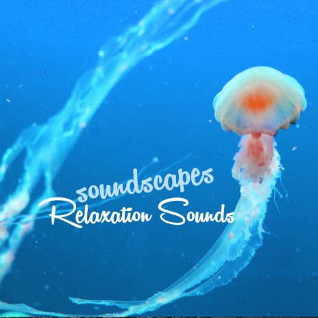 Buddhist Meditation (Nature Sounds)