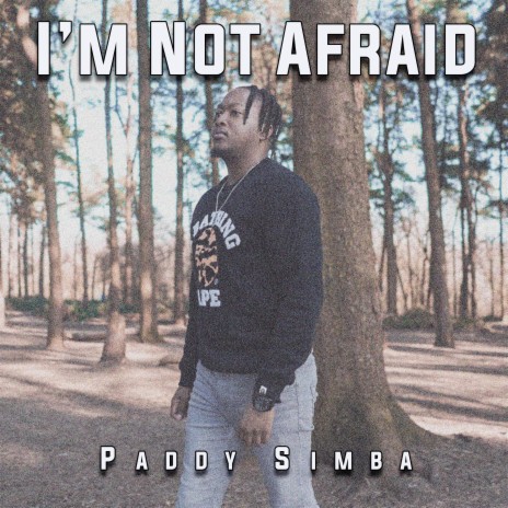 I'm Not Afraid cover art