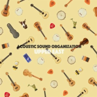 Acoustic Sound Organization