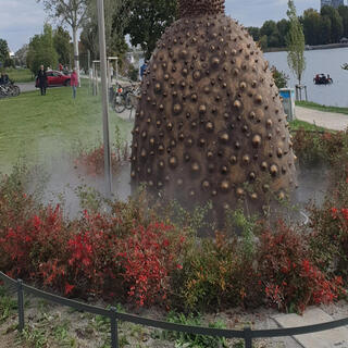 Vando Luz Da Ya