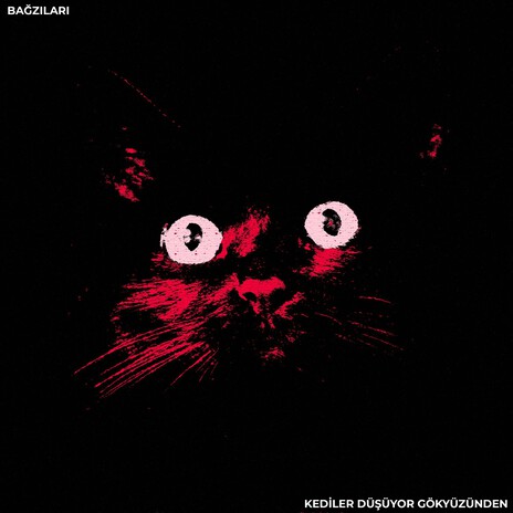 Kediler Düşüyor Gökyüzünden cover art
