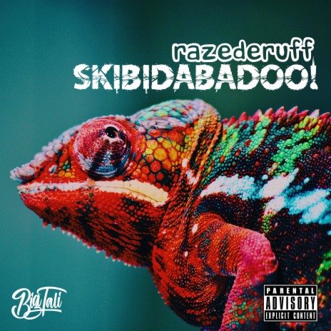 Skibidabadoo ft. Big Tali cover art