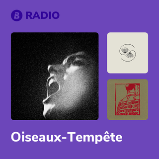 Oiseaux-Tempête Radio