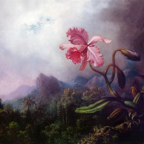 Paradiset