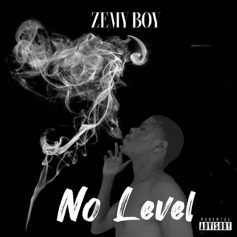 No Level