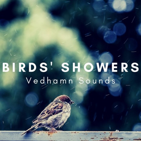 Late Summer Rain, Birds Singing