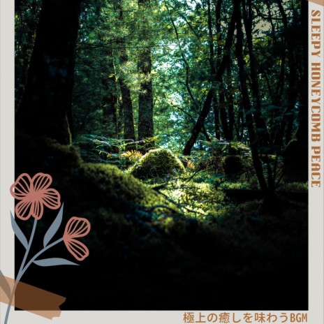 Aroma of the Energetic cover art