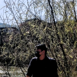 author avatar