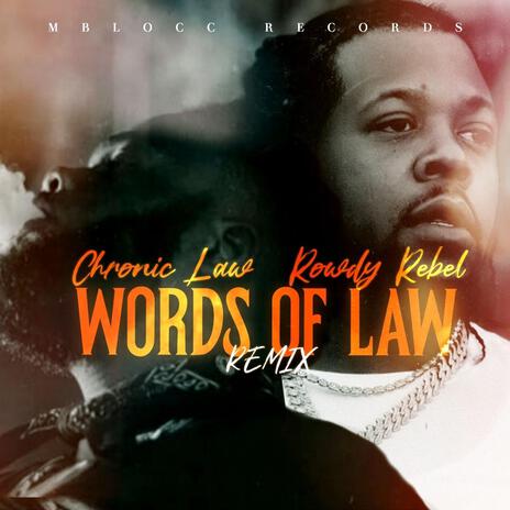 Words Of Law cover art