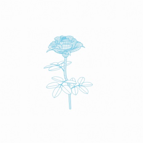 Blue Rose