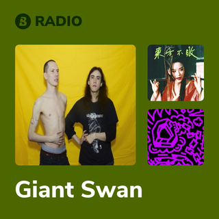 Giant Swan Radio