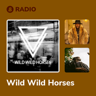 Wild Wild Horses Radio