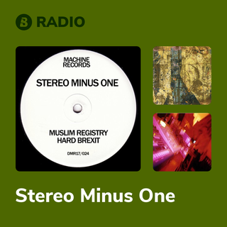 Stereo Minus One Radio