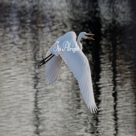 It's Alright cover art