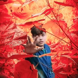 author avatar