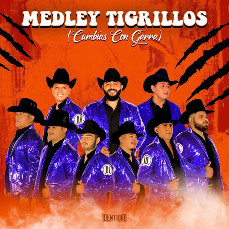 Medley Tigrillos (Cumbias con Garra)
