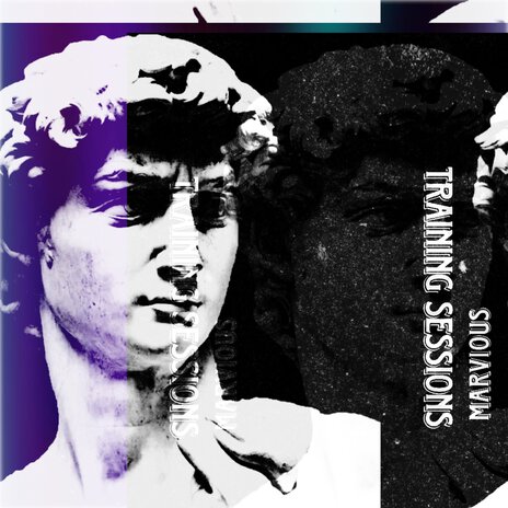 Training Sessions cover art
