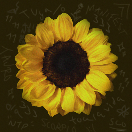 VERANUKI cover art