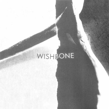 Wishbone cover art