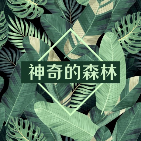 池塘的附近 cover art