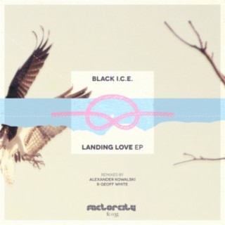 BLACK I.C.E