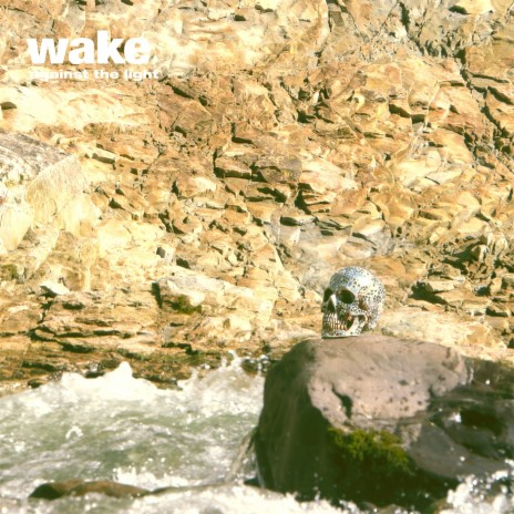 Wrong Side cover art