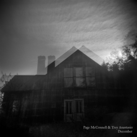If I Could ft. Trey Anastasio cover art