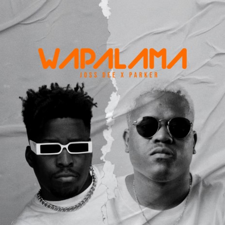 Wapalama ft. DJ Parker cover art