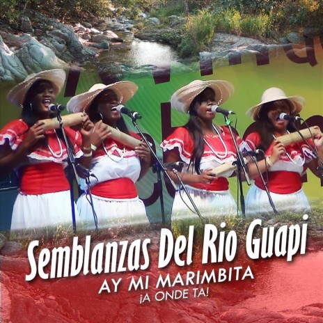 Las Palanqueras del Napi cover art