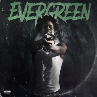 Evergreen