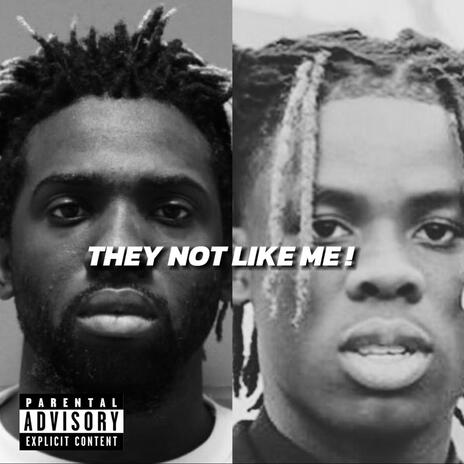 THEY NOT LIKE ME cover art
