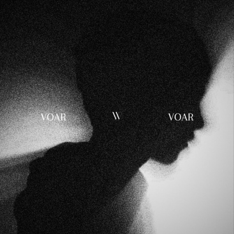 Voar cover art