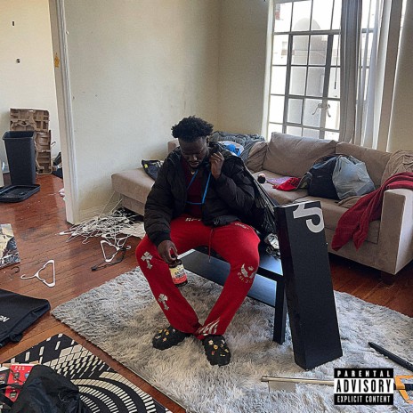 FEDS RAIDED THE CRIB (Sped Up) cover art