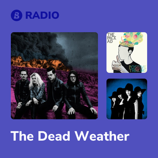 The Dead Weather Radio