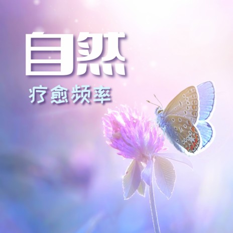 冥想 ft. 自然生活 & 山和水 cover art