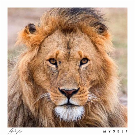Myself cover art