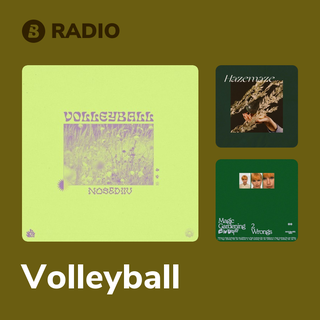Volleyball Radio