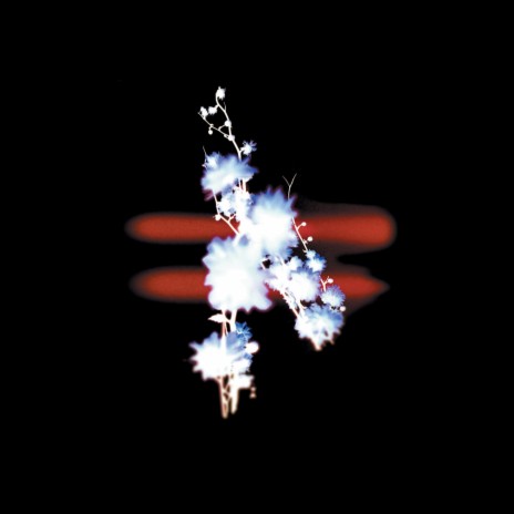 In Position cover art
