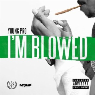 Young Pro