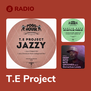 T.E Project Radio